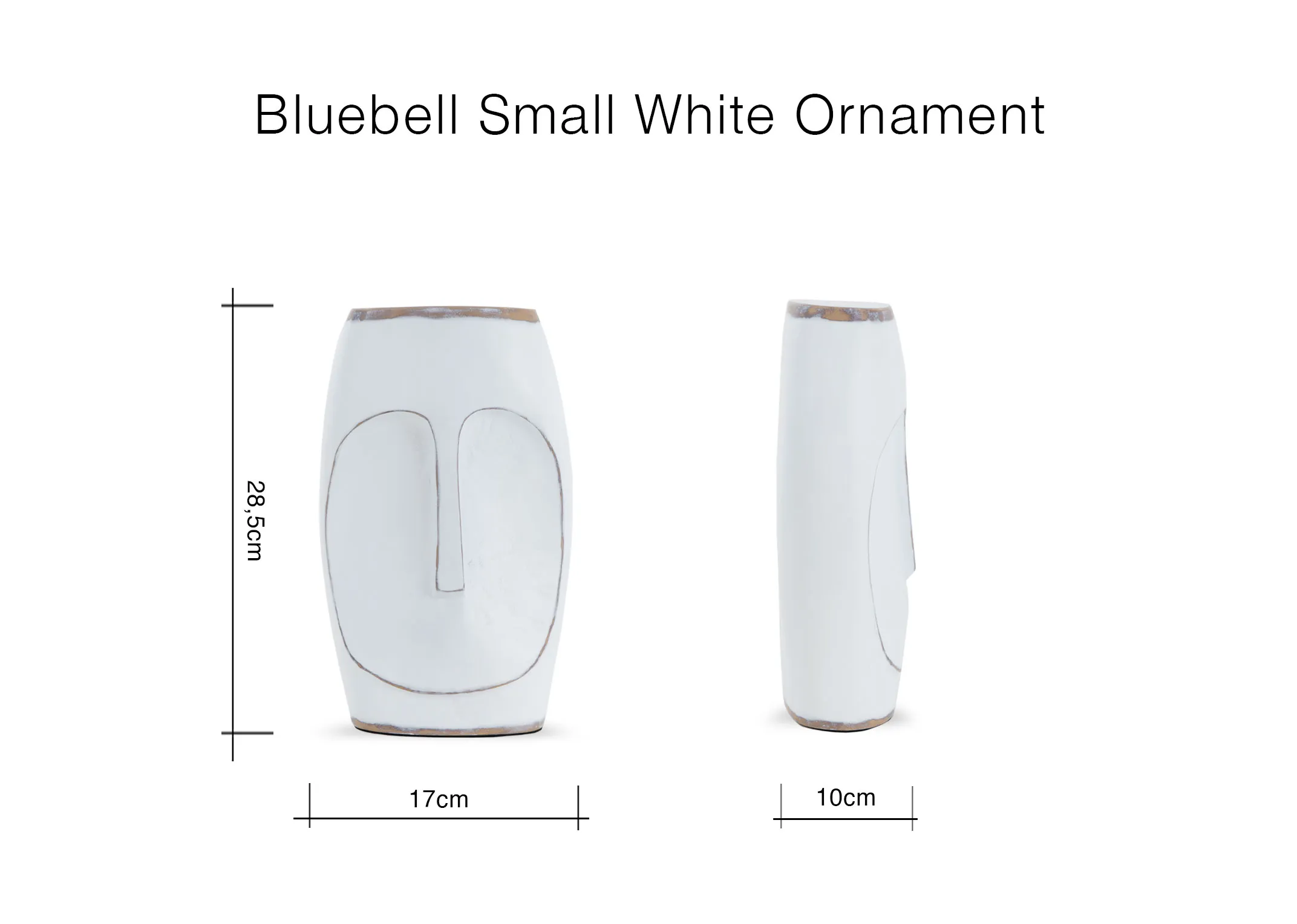 Dimensions Image