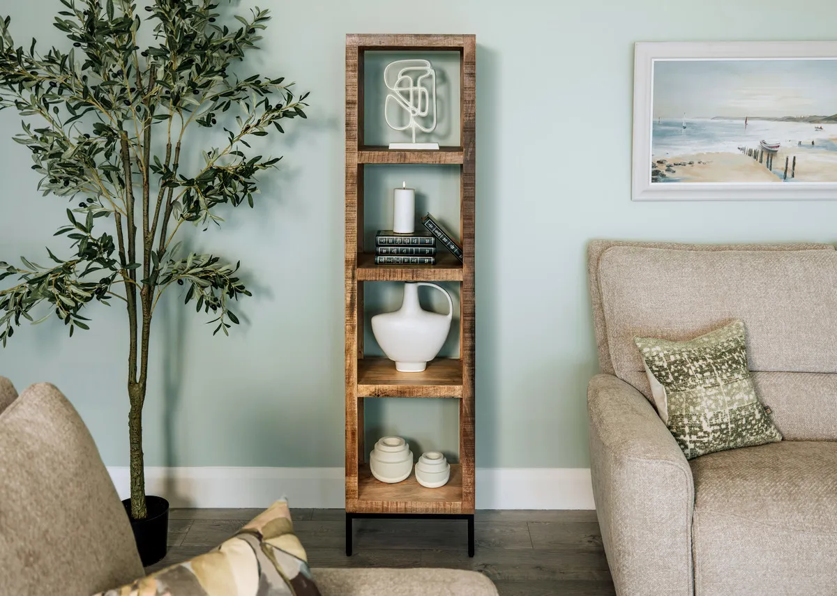 A lifestyle image of the Avoca bookcase with a selection of ornaments with the Olive tree plant.