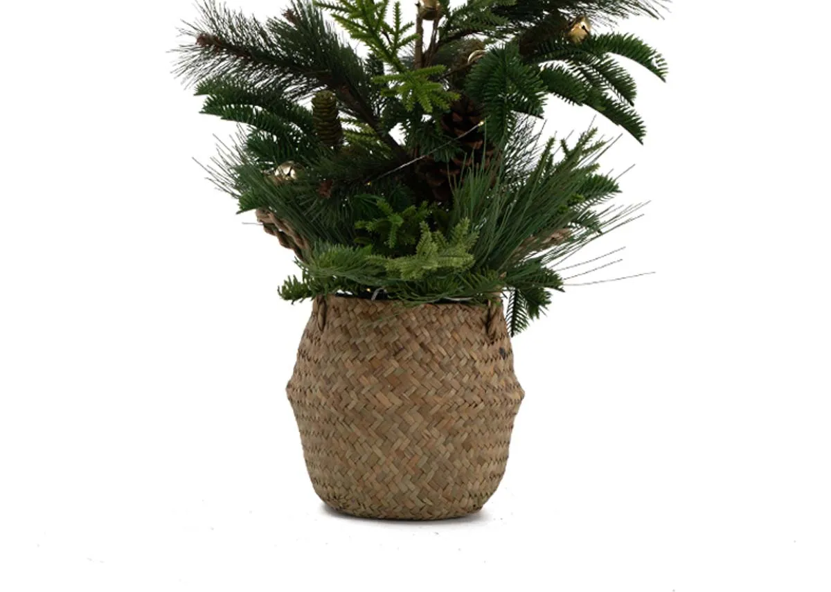 A dimension image of the Bell Pine Xmas tree with 66cm