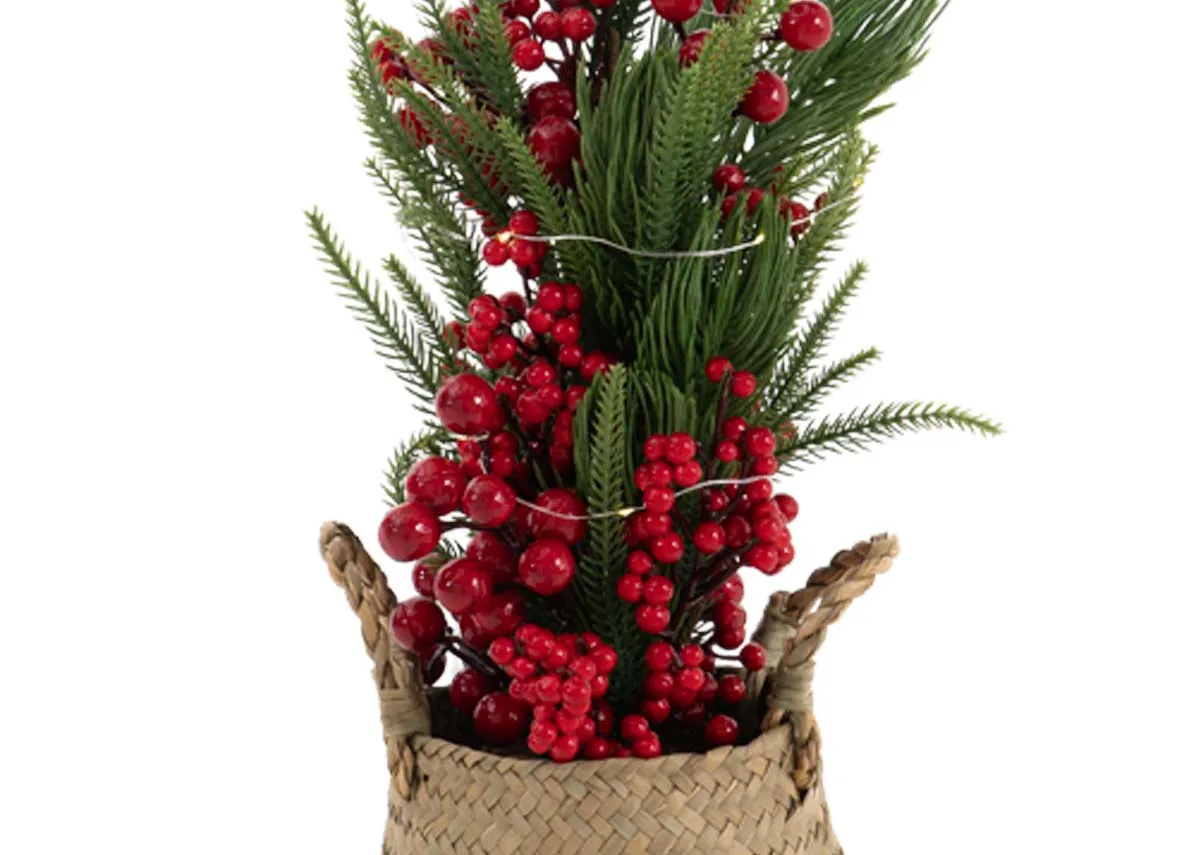 A dimension image of the Emebr Red Berry tree with 66cm