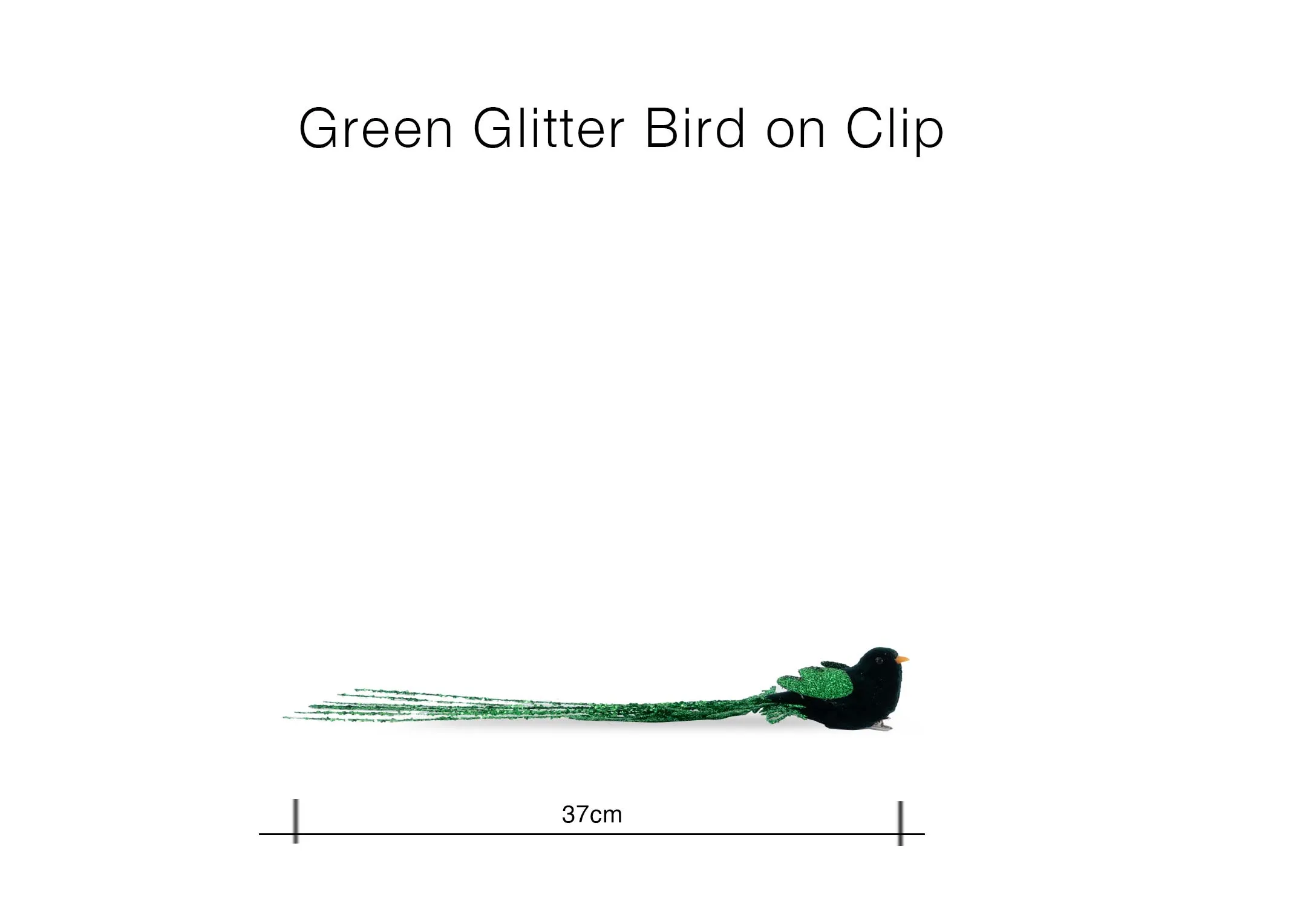 A dimension image of the Green Glitter bird with 37cm