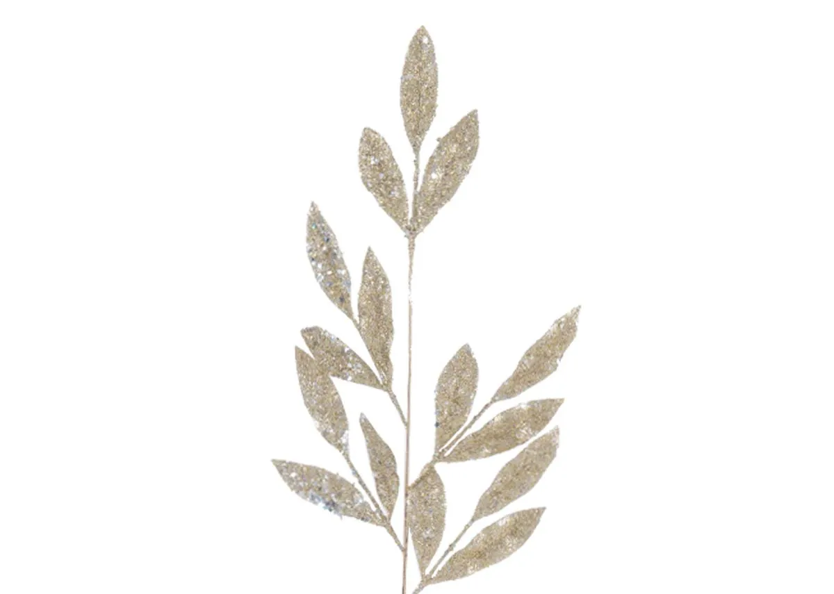 A dimension image of the Champagne Willow Pick with 70cm