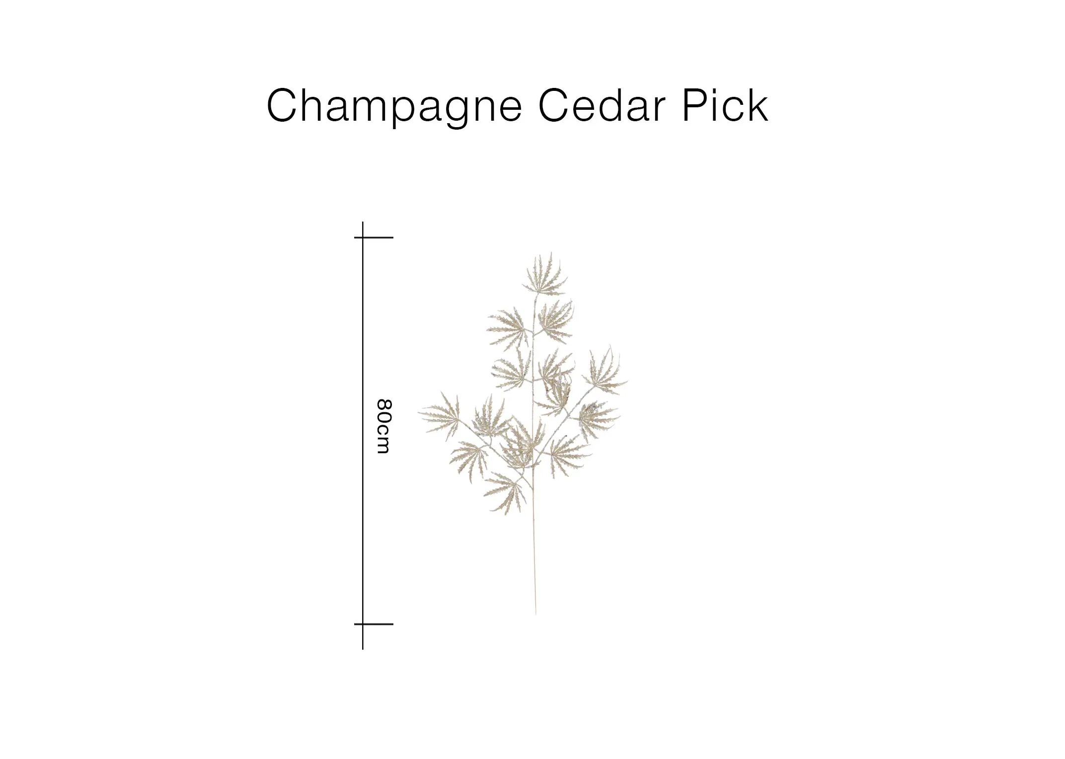 A dimension image of the Champagne Cedar Pick with 80cm