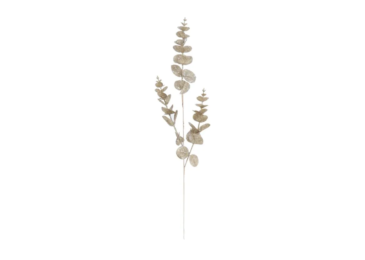Champagne Eucalyptus - Christmas Pick