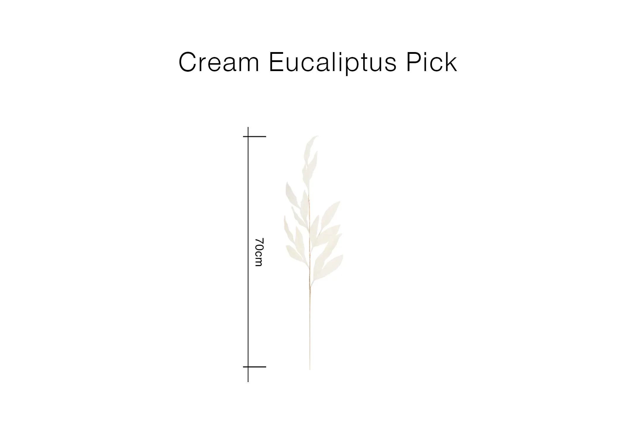 A dimension image of the 70cm