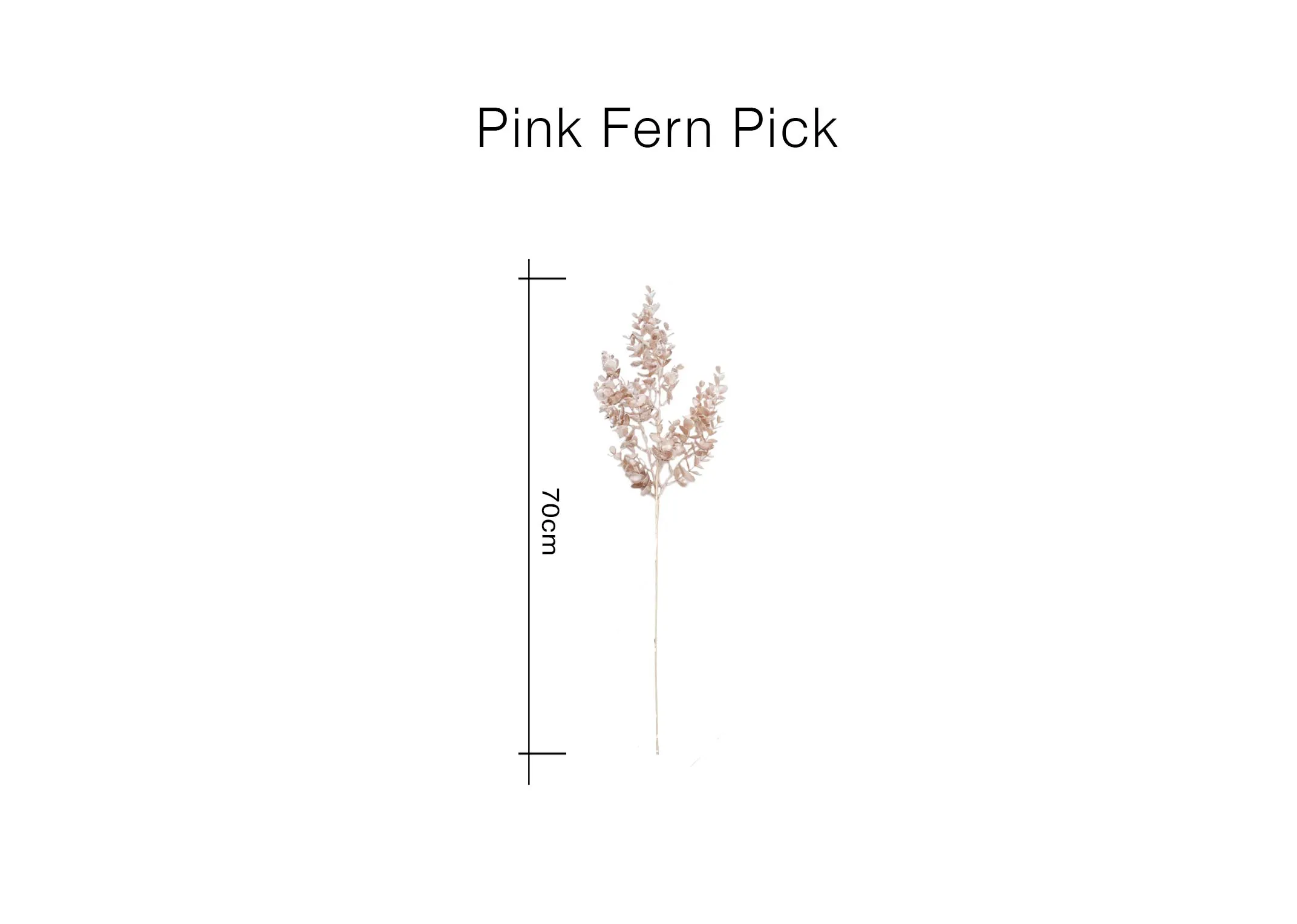 A dimension image of the Pink Fern Pcik with 70cm