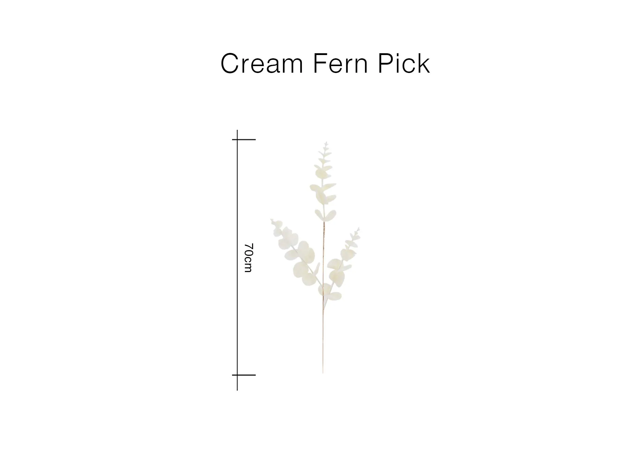 A dimension image of the Cream Fern pick with 70cm