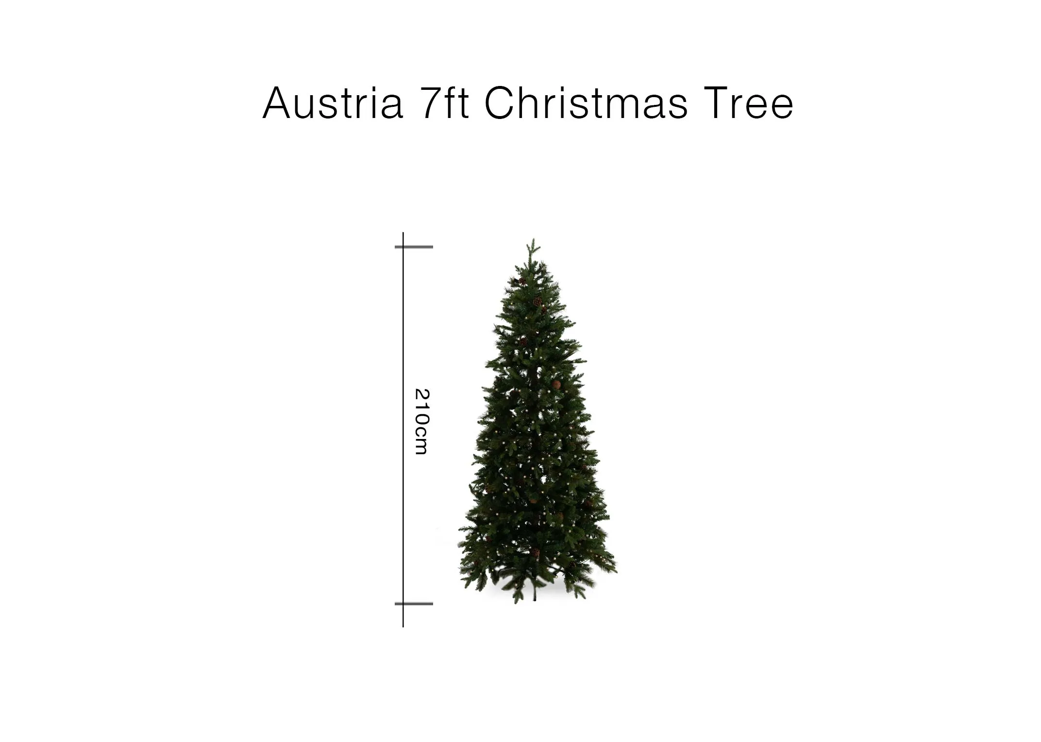 A dimension of the Austria tree with 210cm Height