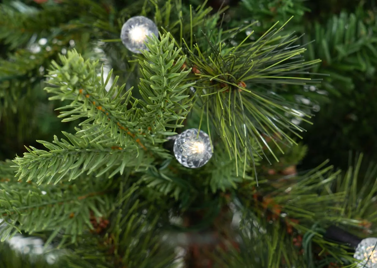 A dimension of the Austria tree with 210cm Height