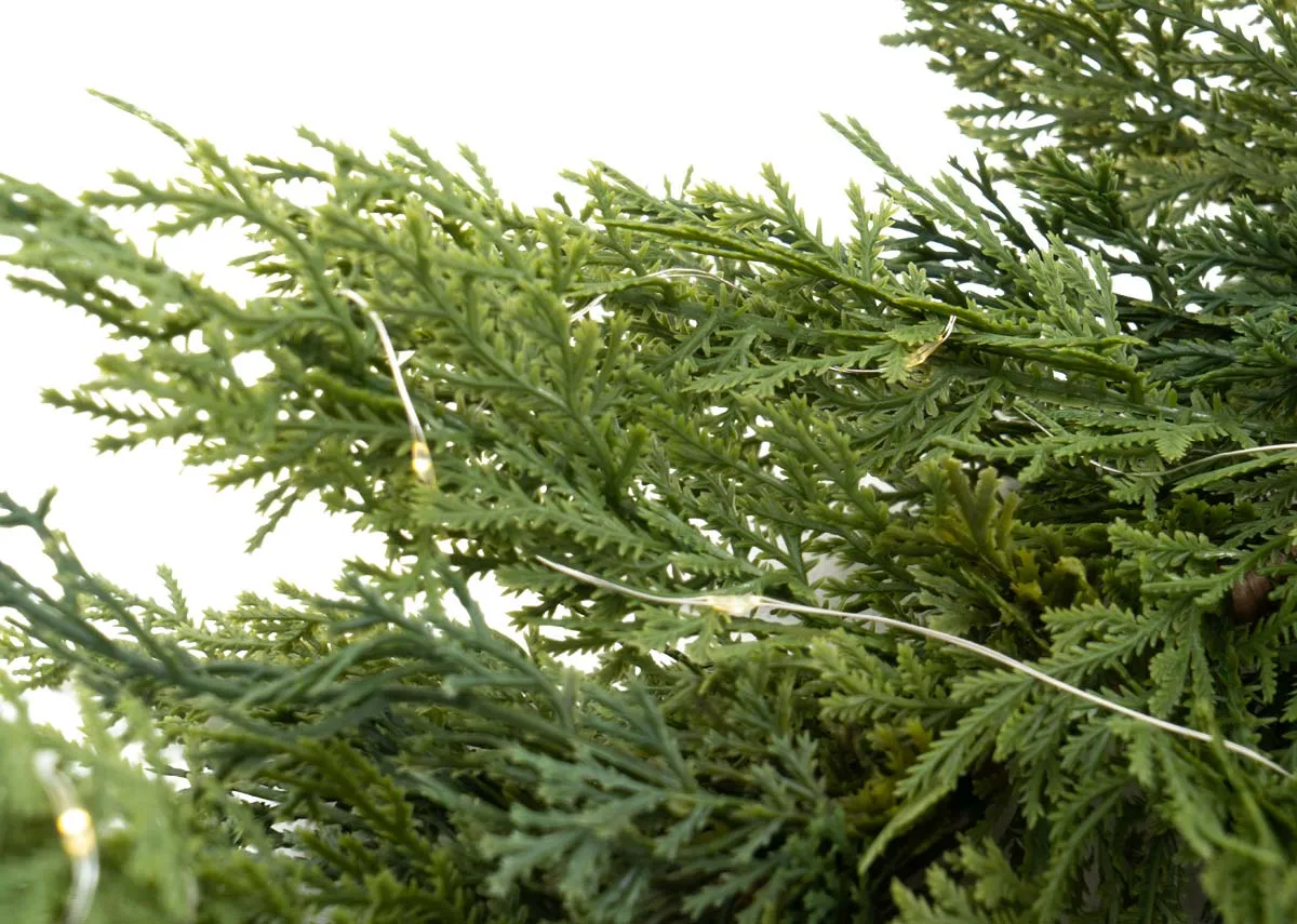 A close up of the green foliage of the garland showing the small delicate lights intertwined within the branches.