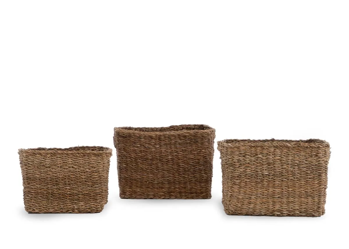 A dimension image of the Cove Set of 3 baskets with 20-30cm x 8cm - 12cm