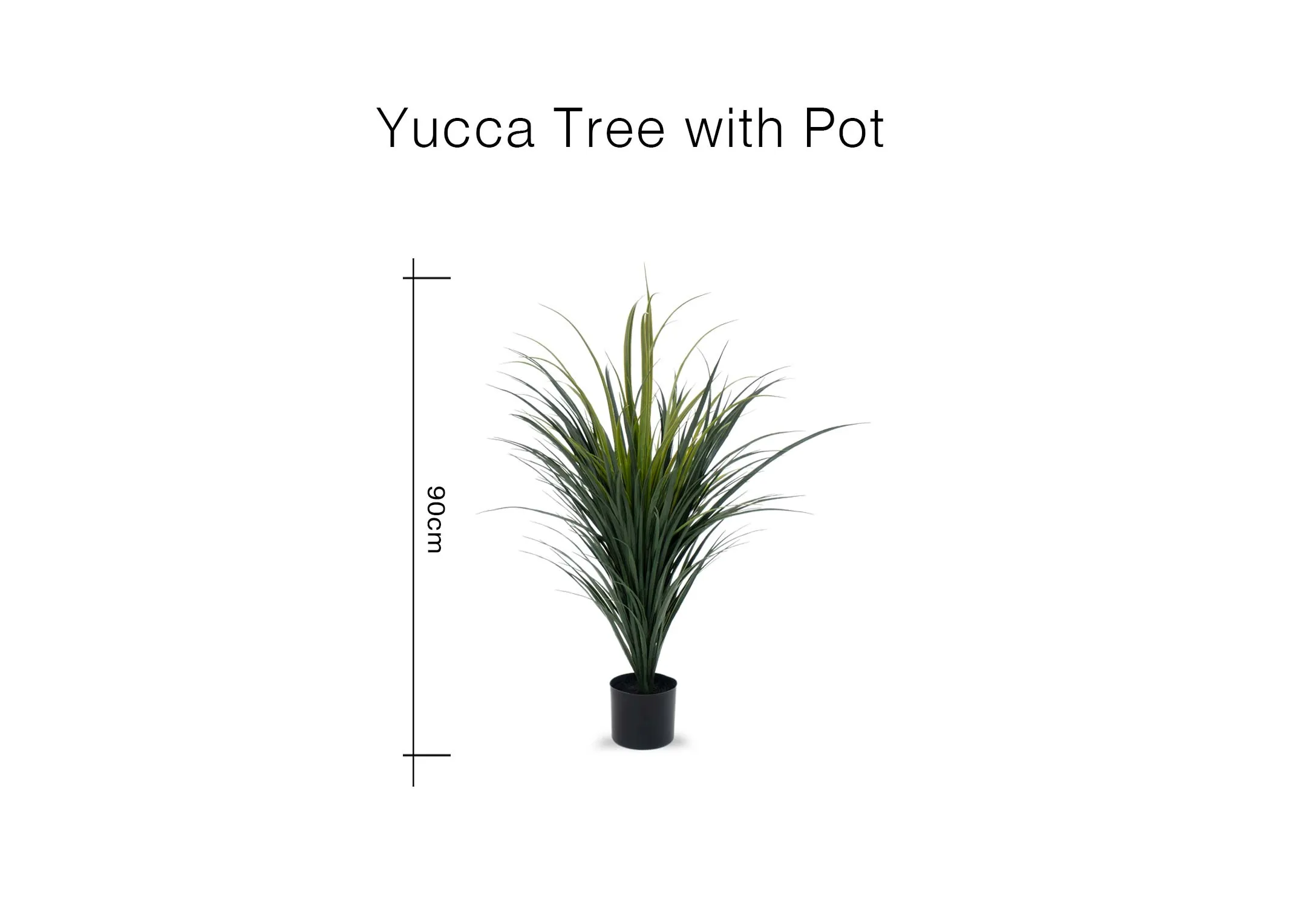 A dimension image of the Yucca Tree with 90cm