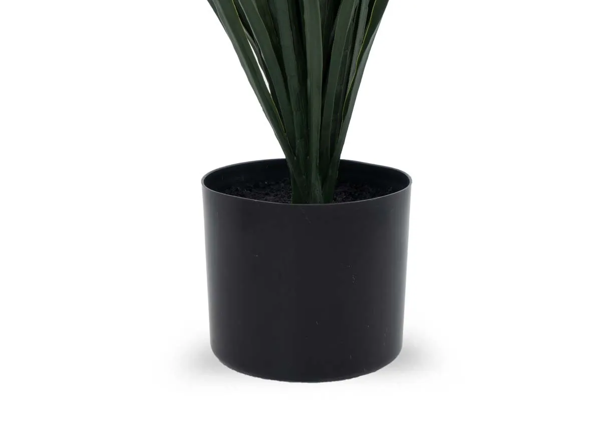 A dimension image of the Yucca Tree with 90cm