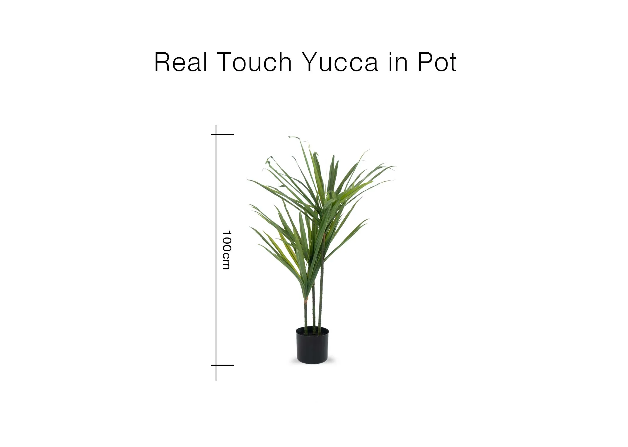 A dimension image of the real Touch Yucca plant with 100cm