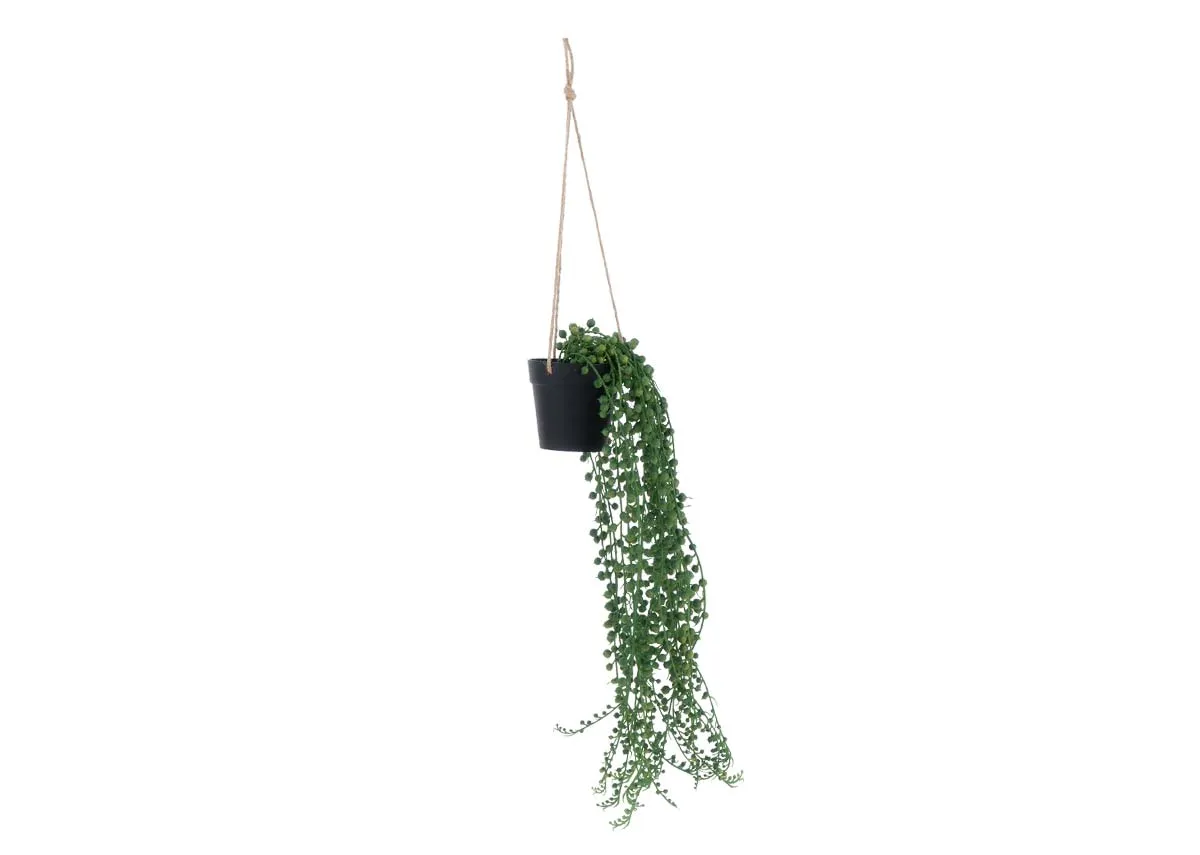 60cm Hanging Plant in Pot