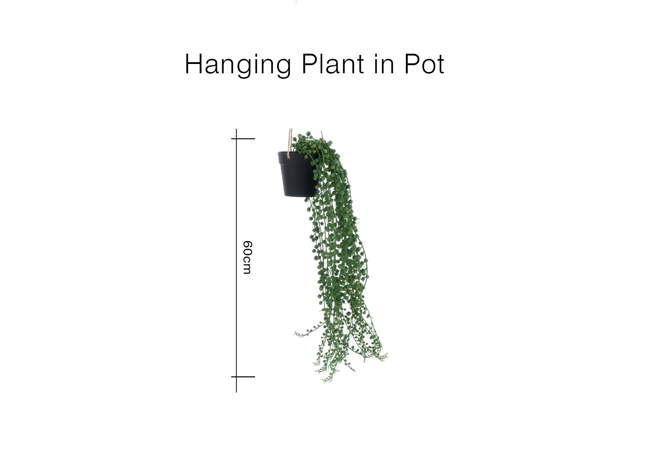 A dimension image of the Hanging Plant with 60cm