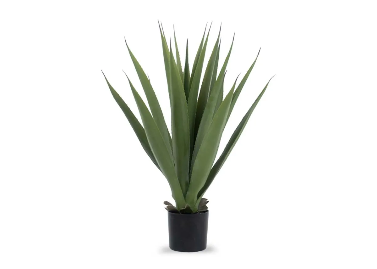 65cm Plant in Pot - Sisal