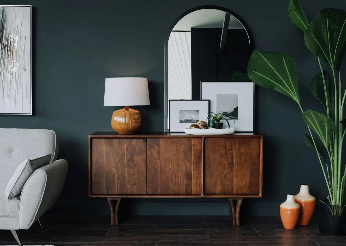 17cm Plant in Black Pot - Succulents