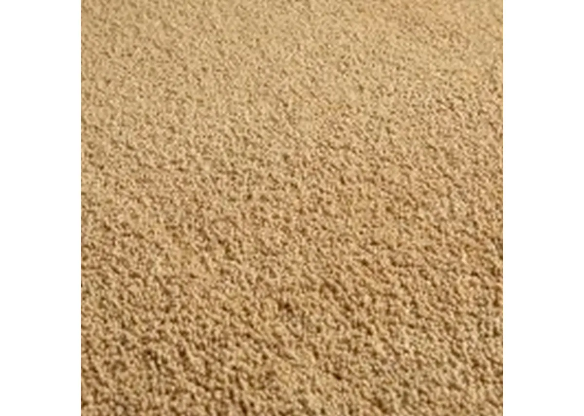 A dimension image of the Gloden Glow with 170cm x 120cm