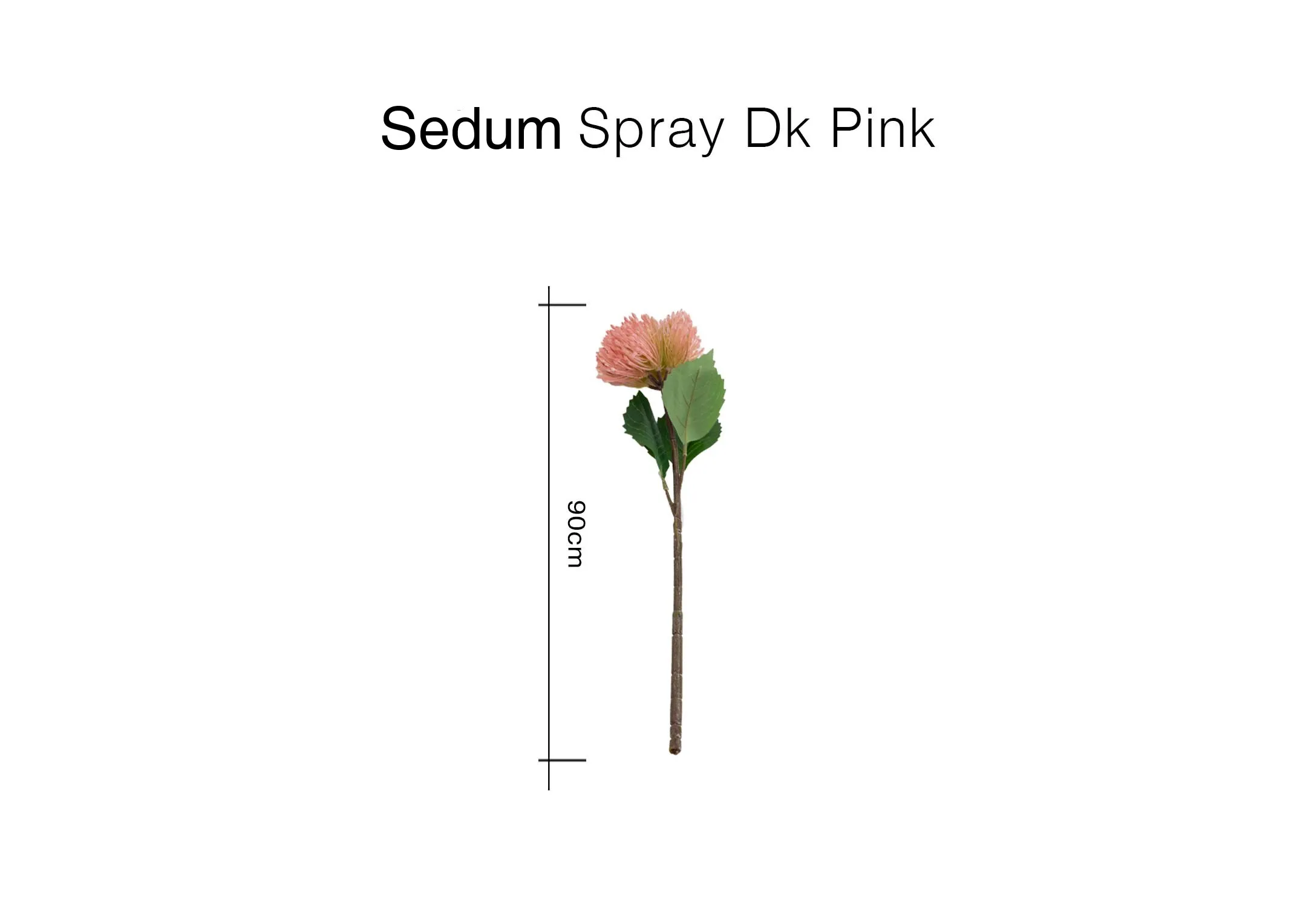 A dimension image of the Sedum Spray with 90cm