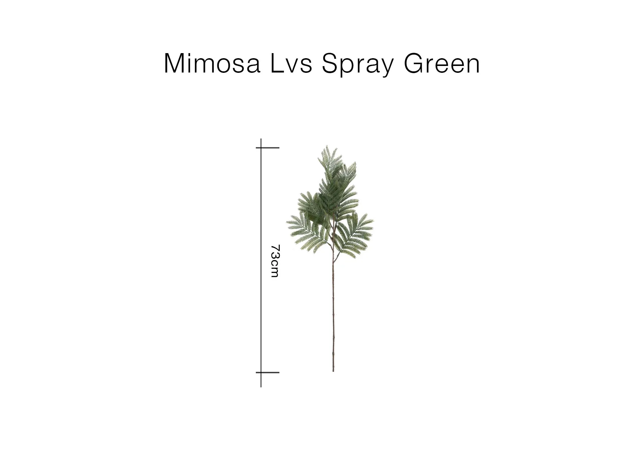 A dimension image of the Mimosa Spray with 76cm
