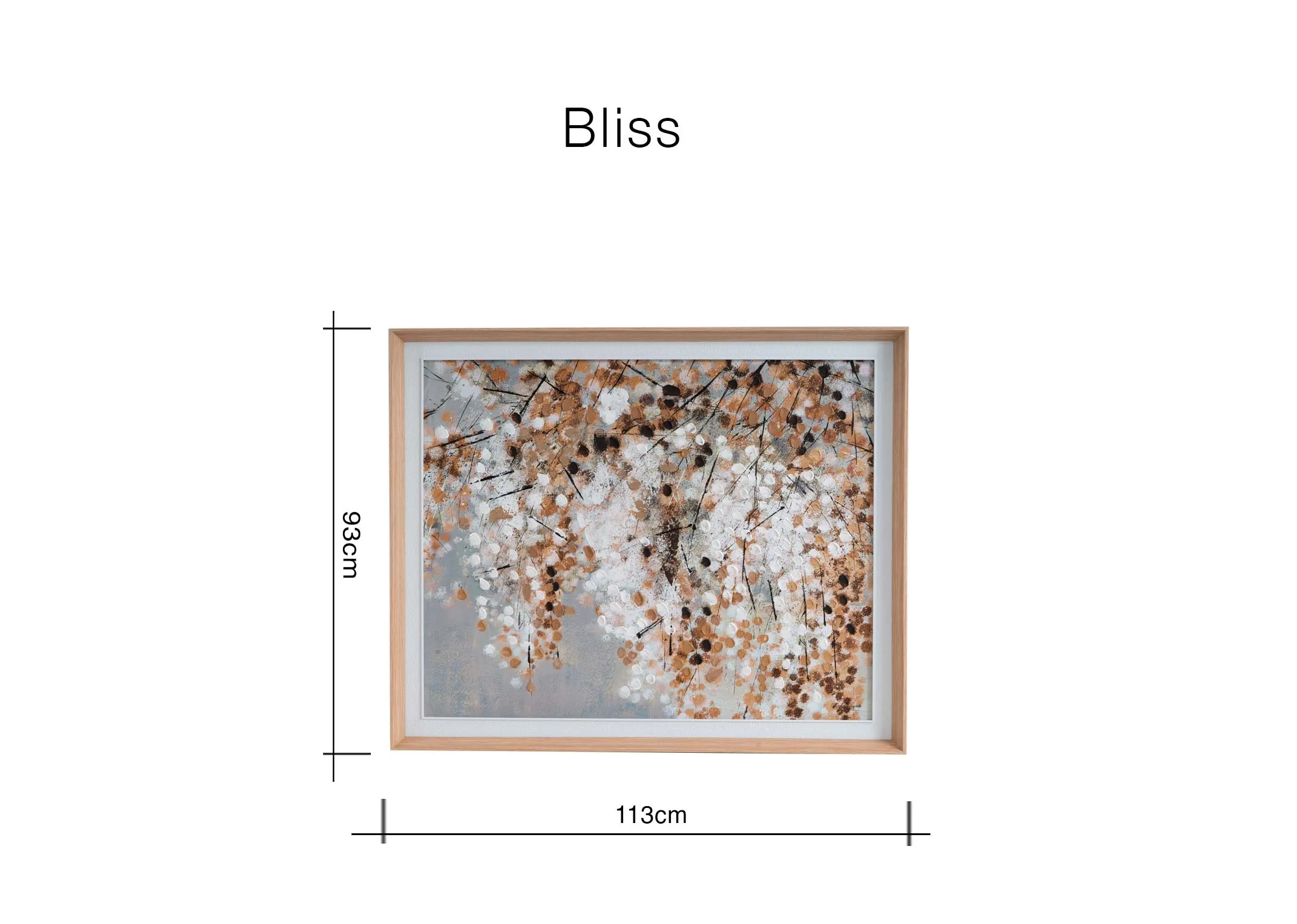 Dimensions Image