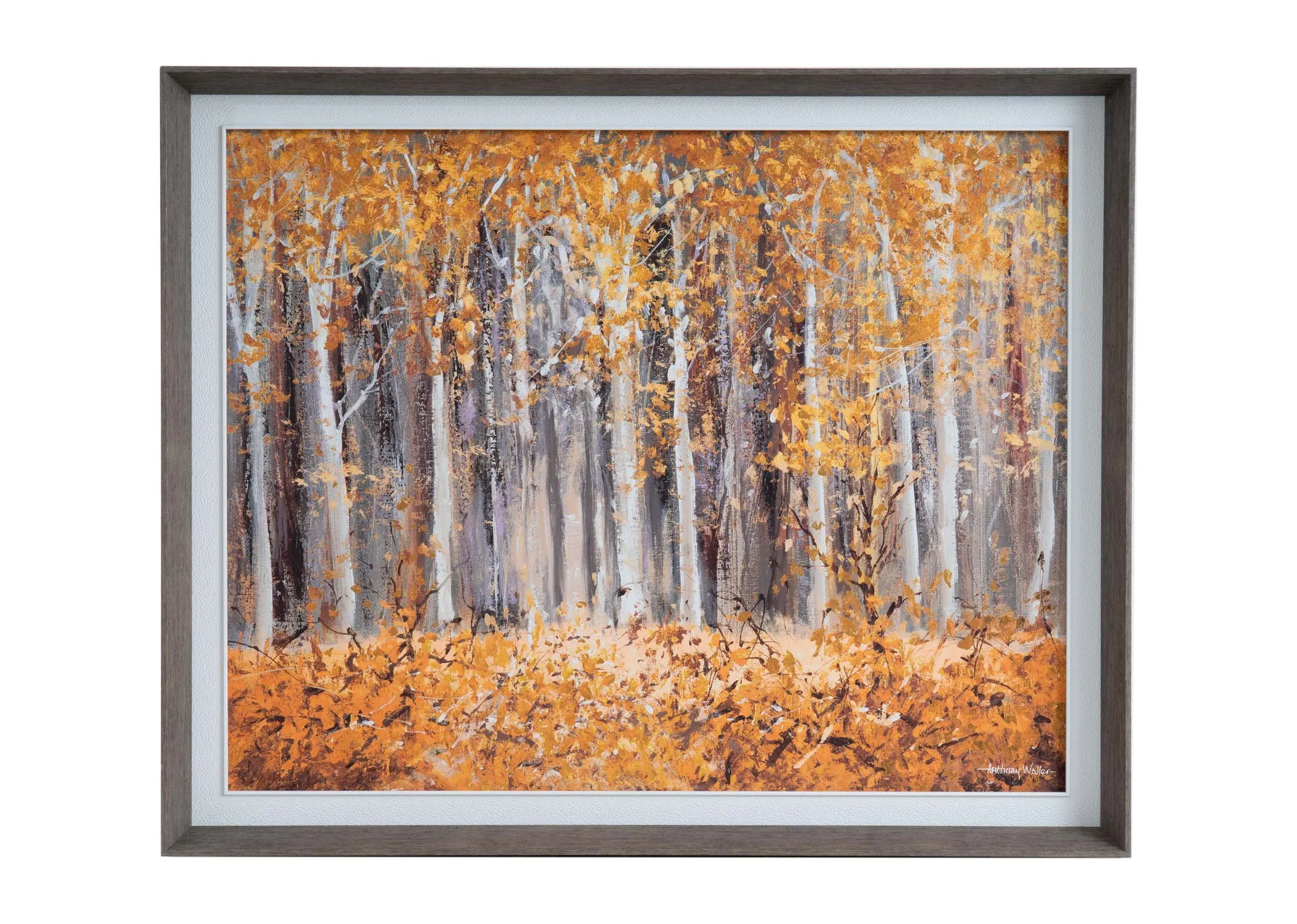 107cm x 87cm Framed Picture - Woodland Warmth