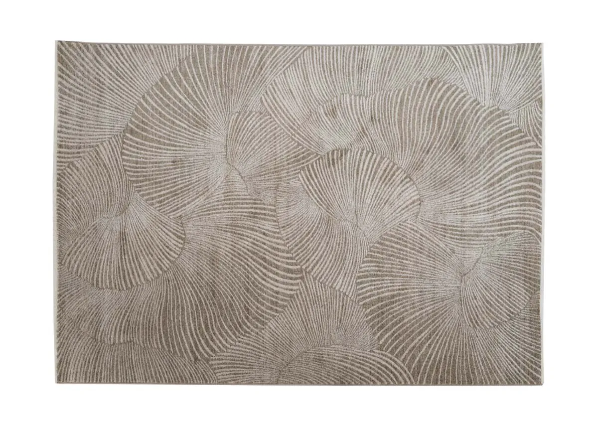 A dimension image of the Shell Rug with 230cm x 160cm