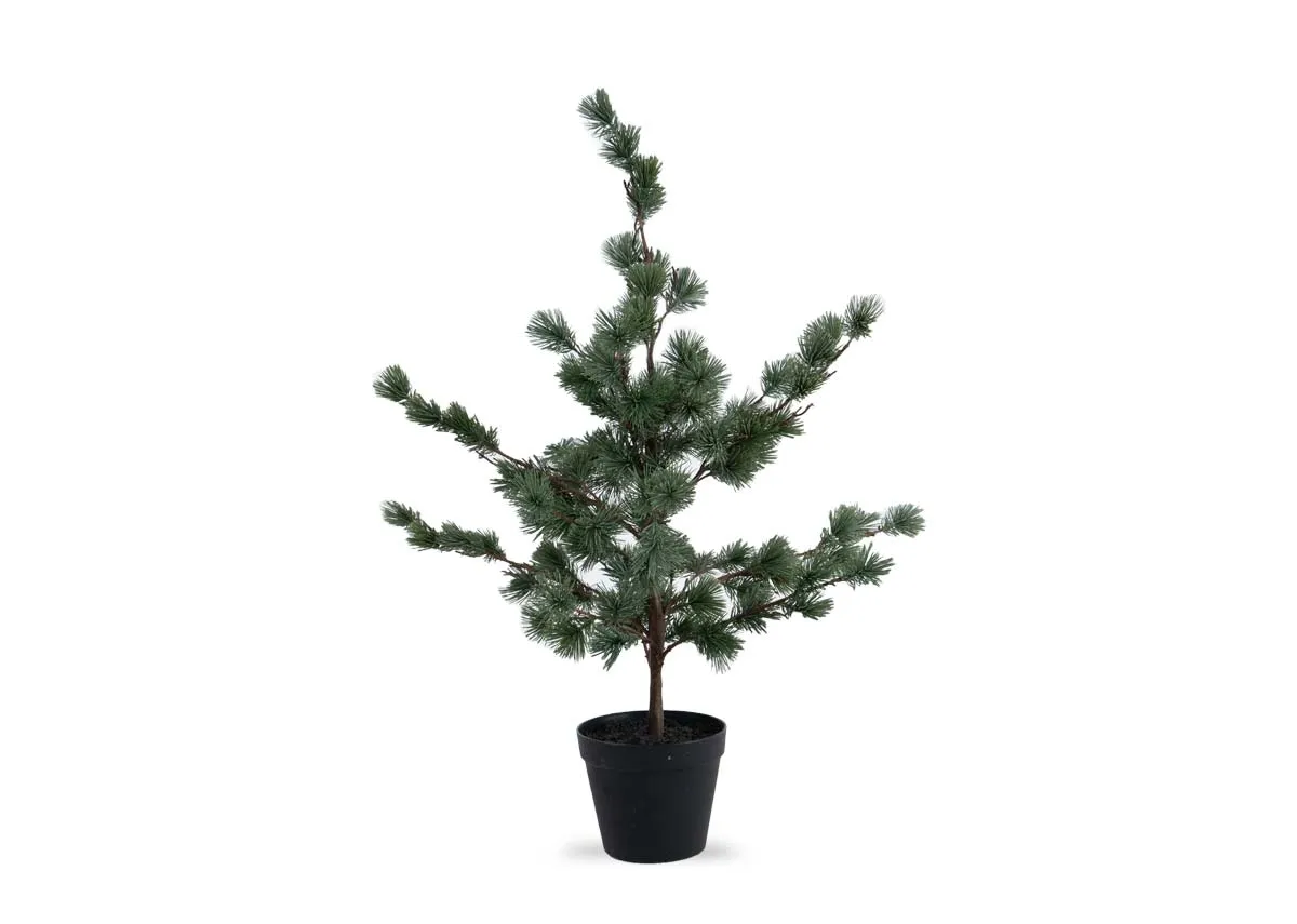 80cm Artificial Pine in Pot - Cedar