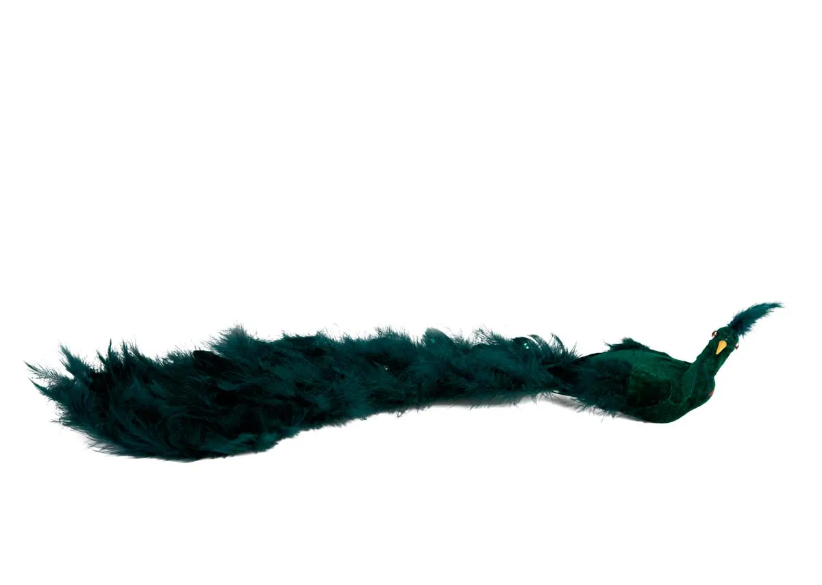 A dark green feather peacock decoration from EZ Livings Peacock range. Front view of long bird