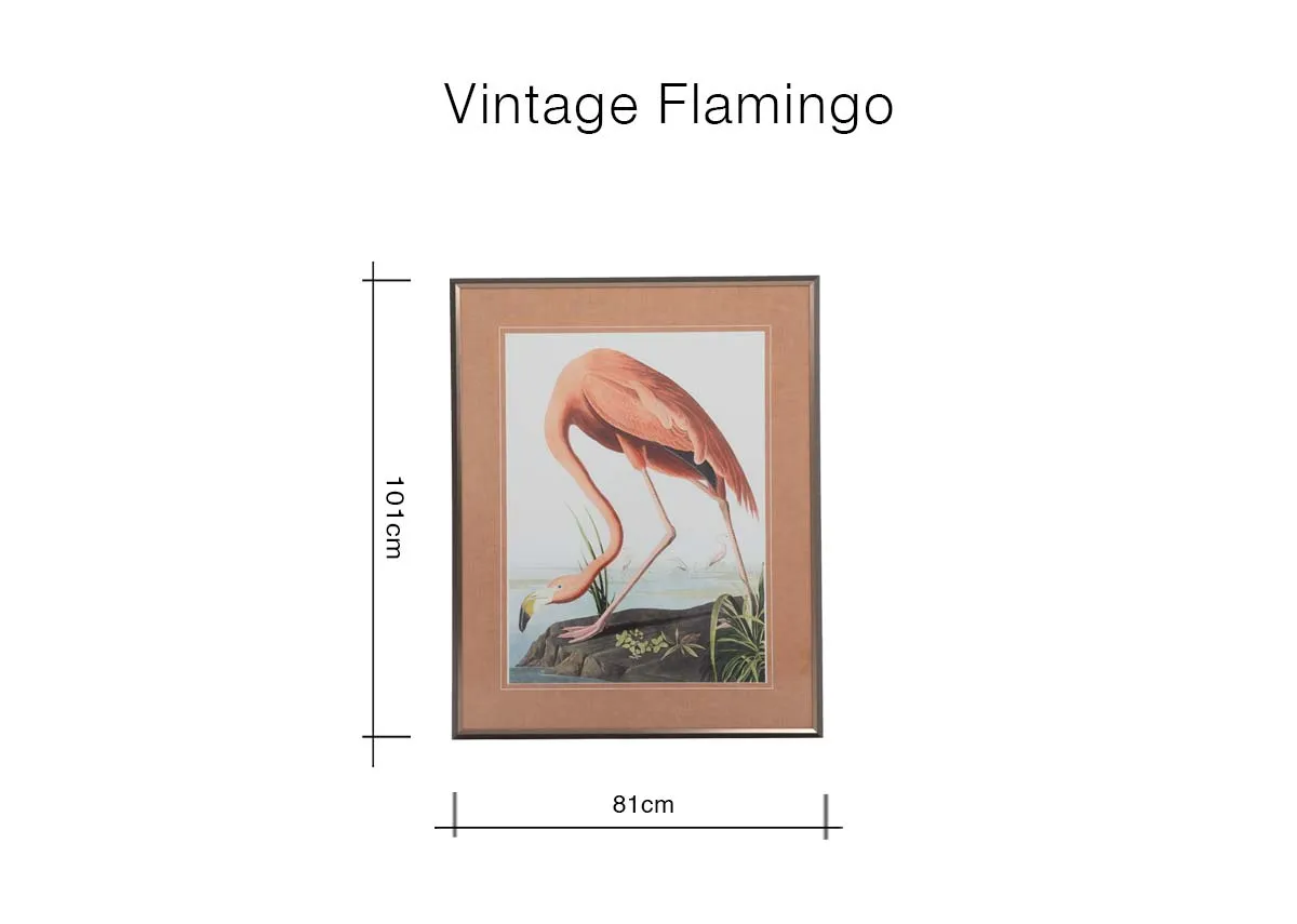 A dimension image of the Flamingo Picture with 81cm x 101cm