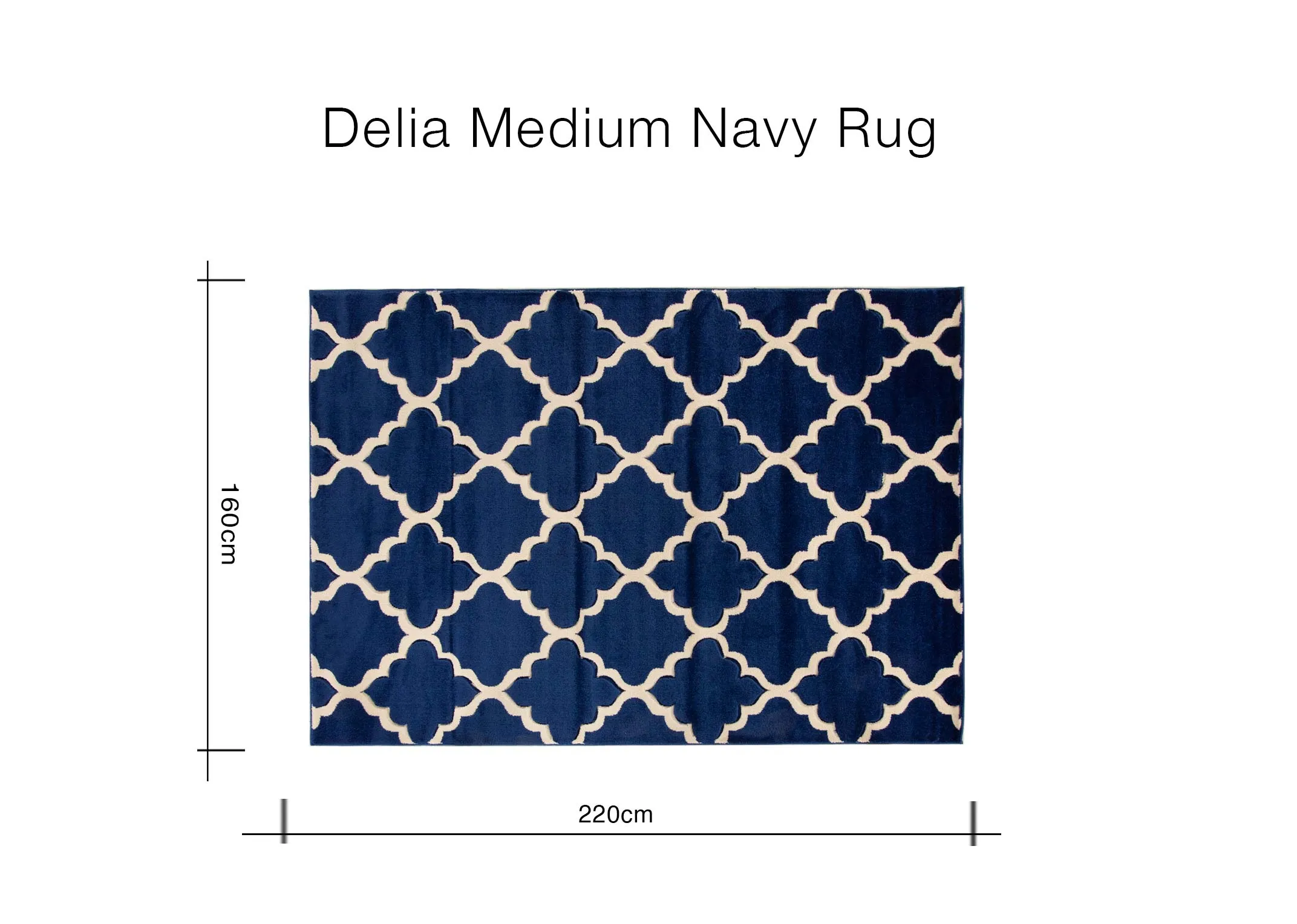 A dimension image of the Delia Medium rug with 220cm x 170cm