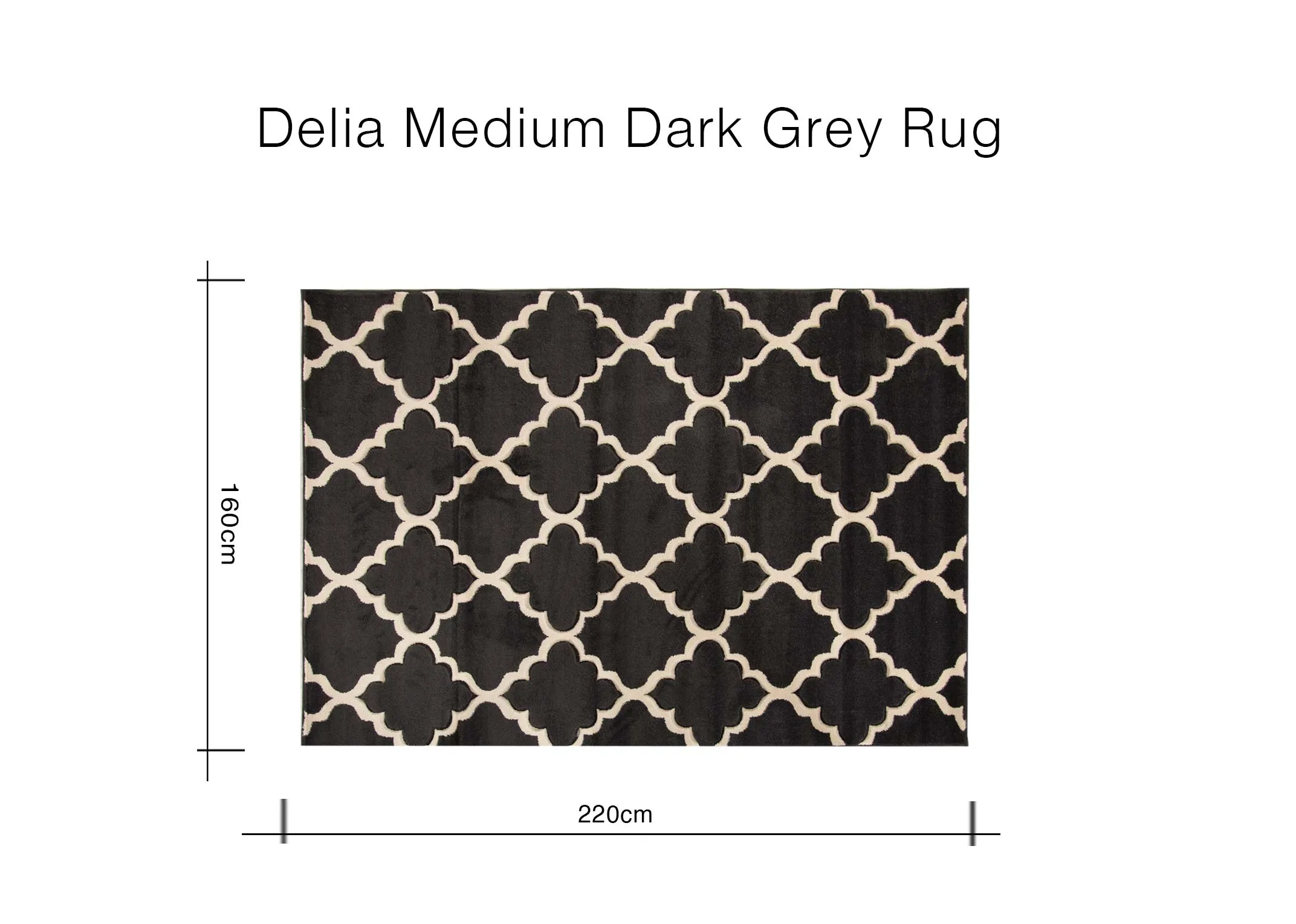 A dimension image of the Delia Medium Rug with 220cm x 160cm