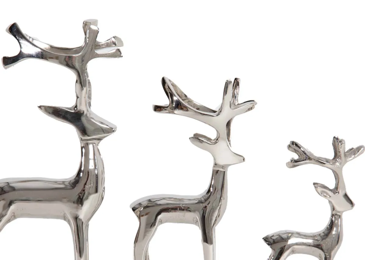 A closeup of the nickel reindeers showing mirror effect