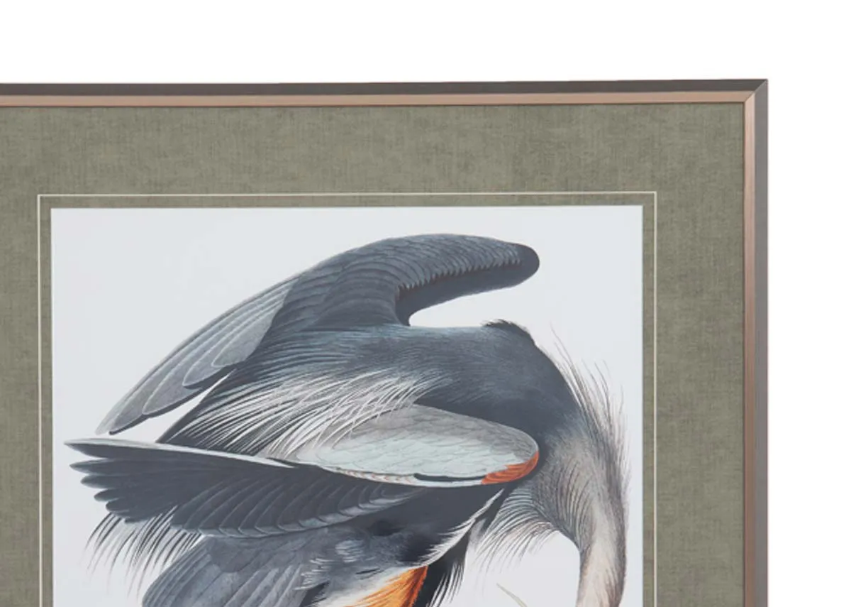 A dimension image of the Vintage Blue Heron with 81cm x 101cm