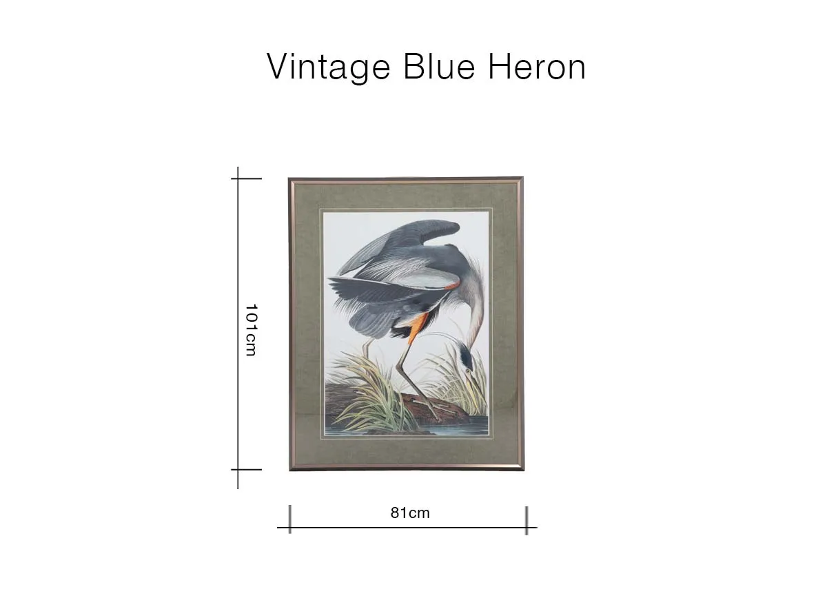 Dimensions Image