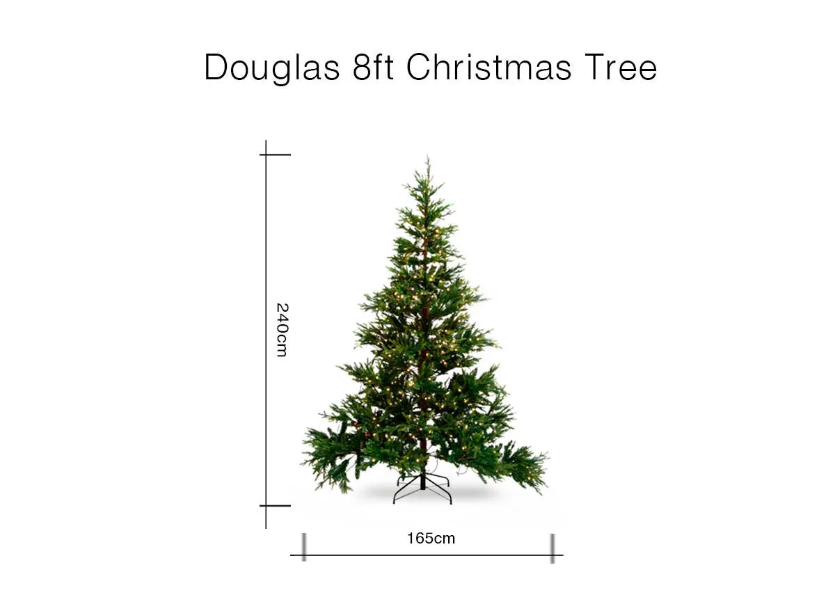 A dimension image of the Douglas 8ft tree with 240cm x 160cm