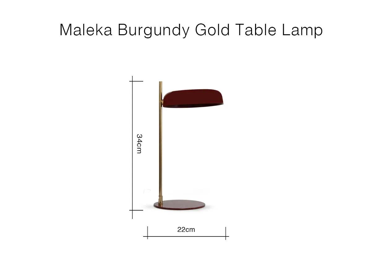 A dimension image of the Maleka Lamp with 22cm x 37cm