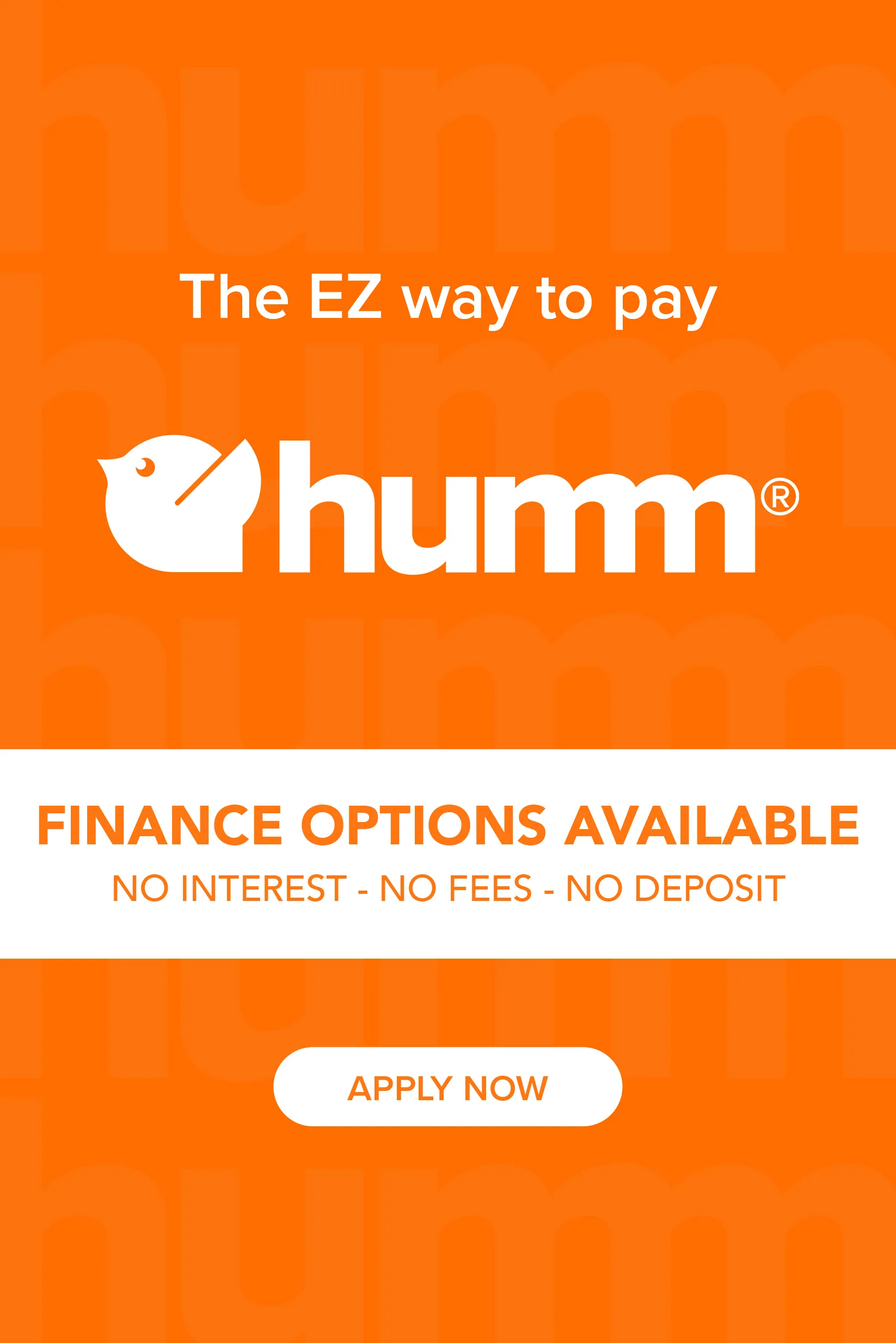 Promotional Banner
