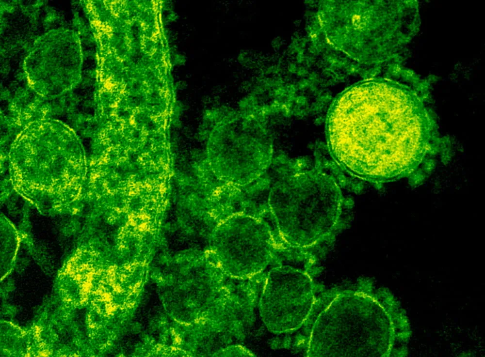 Halloween Special: 5 Disgusting Facts About Your Mattress