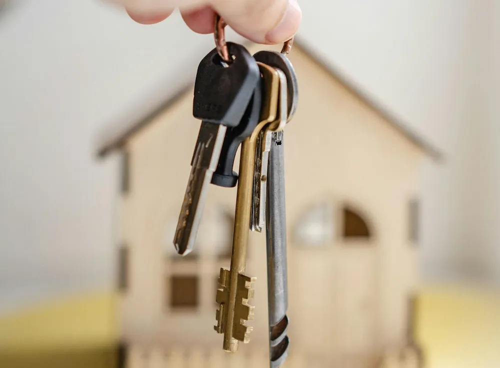 Diary Of An Irish House Hunter