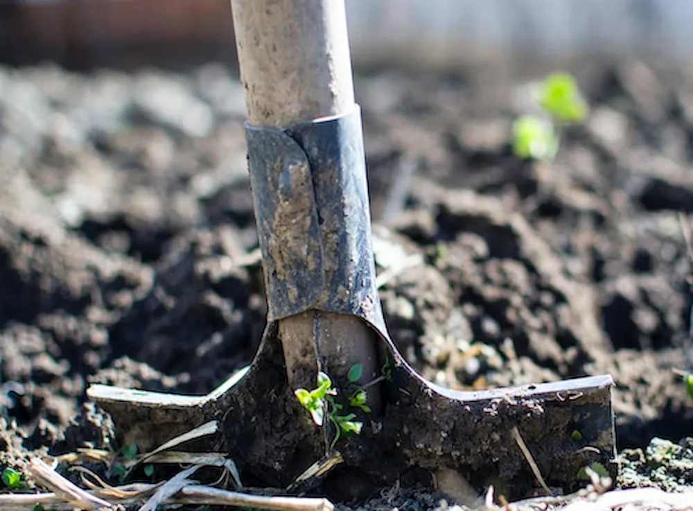 Gardening Tips For Beginners From ‘The Irish Gardener – Peter Dowdall’