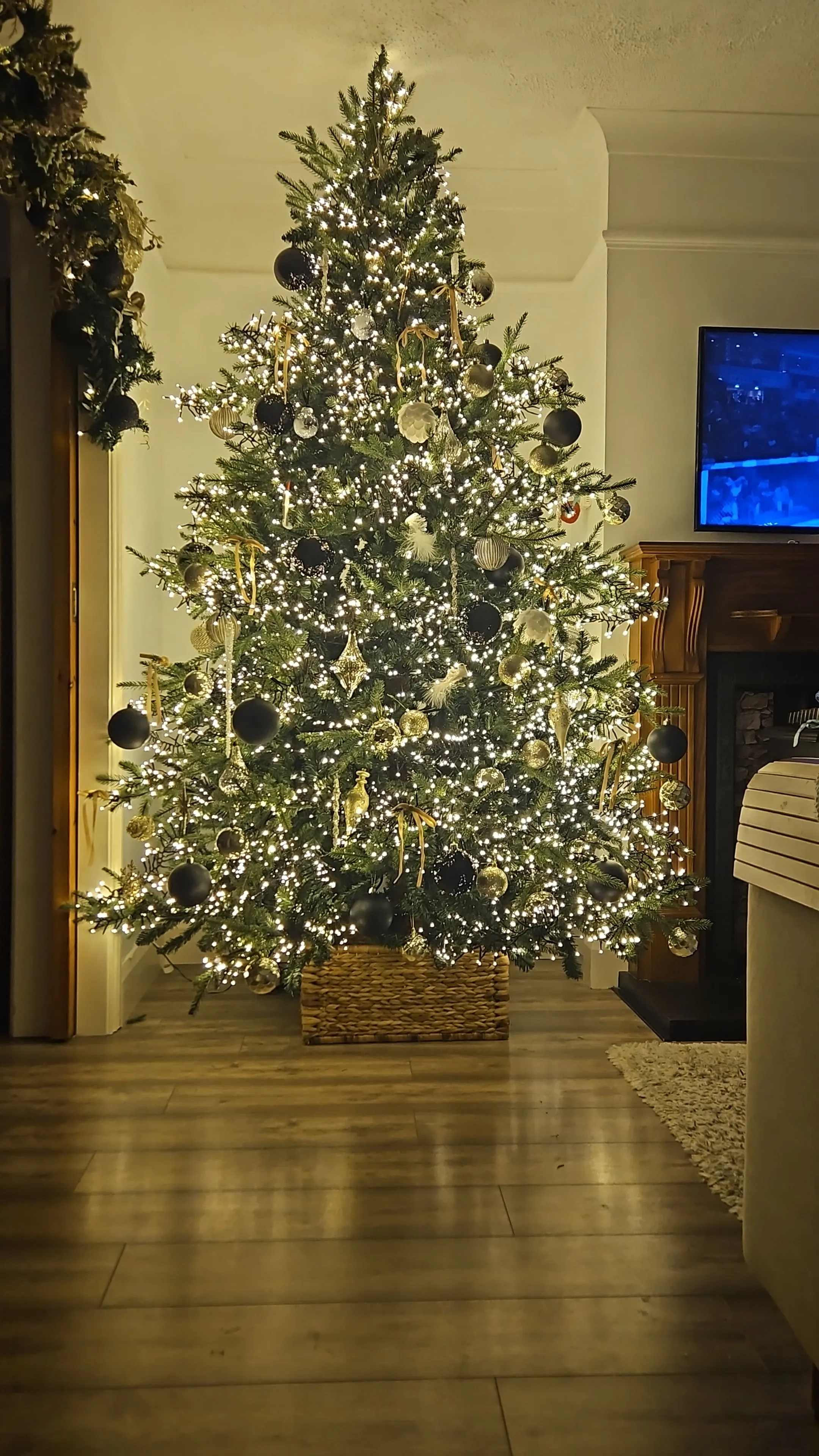 8ft (240cm) Aspen - Christmas Tree