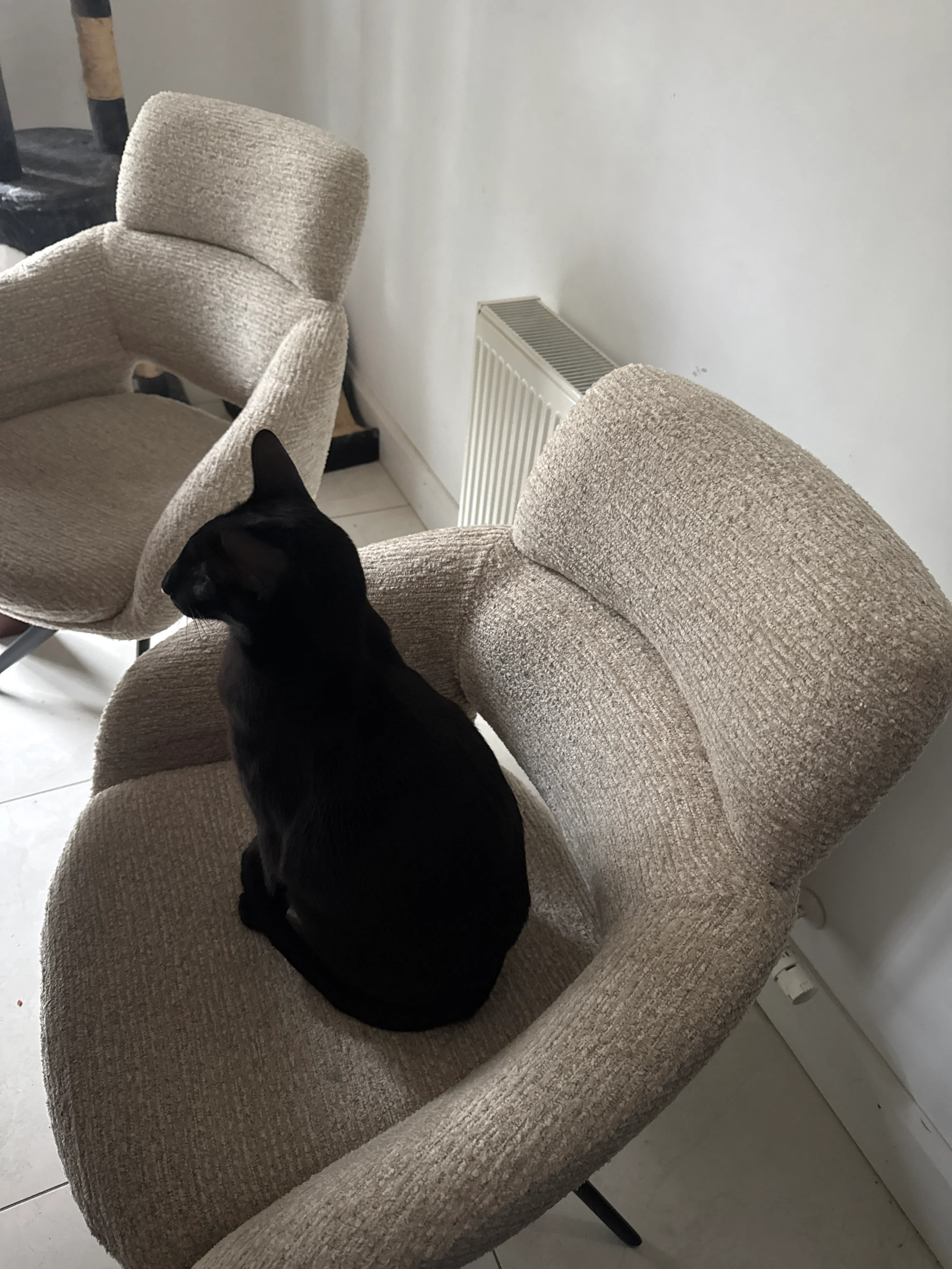 White Fabric Swivel Dining Chair - Fossana