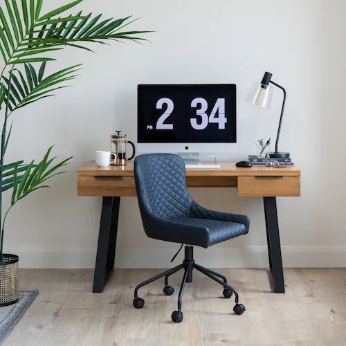 Ottowa Office Chair with green plants from EZ Living Furniture.