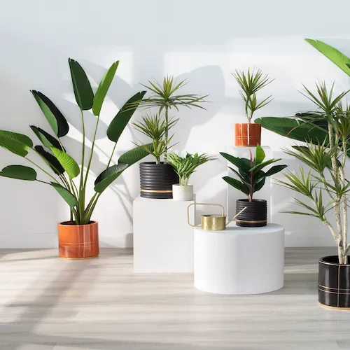 A selection of artificial plants and trees from EZ living Furniture.