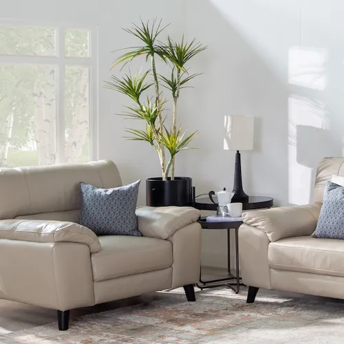 Yukka plant in black plant pot with stand from EZ Living Furniture.