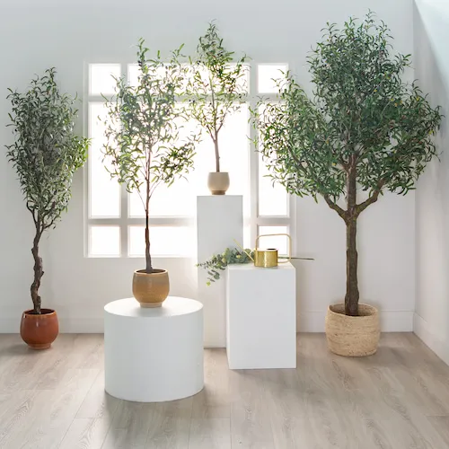 A selection of artificial plants from EZ Living Furniture.