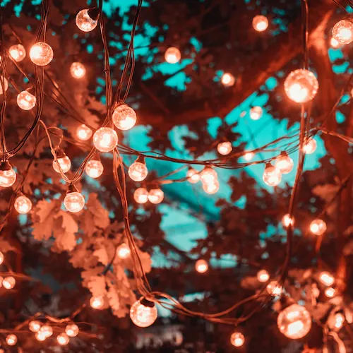 Fairy lights in trees at night.