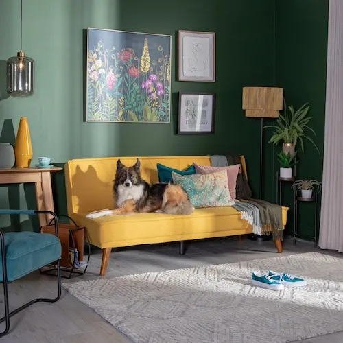 Dog on yellow EZ Living Furniture Sofa Bed.